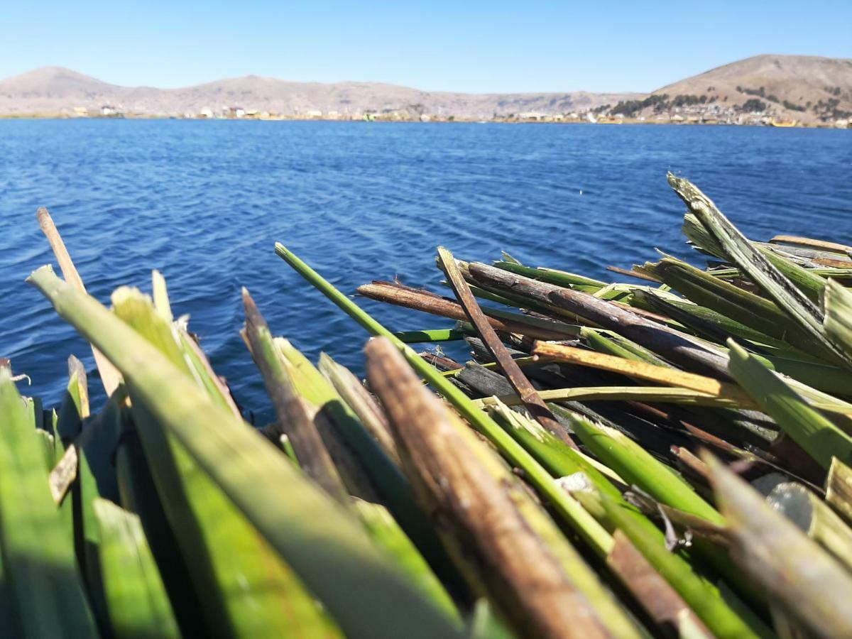 Quechua lodge Titicaca Puno Exterior foto